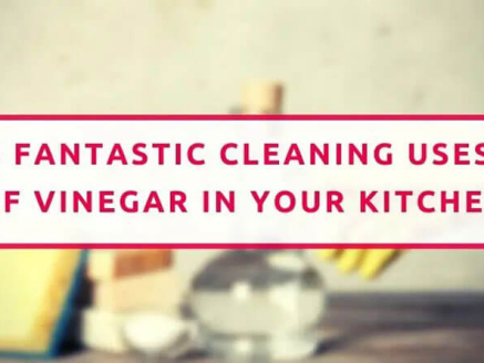 6 Fantastic Cleaning Uses Of Venegar In Your Kitchen
